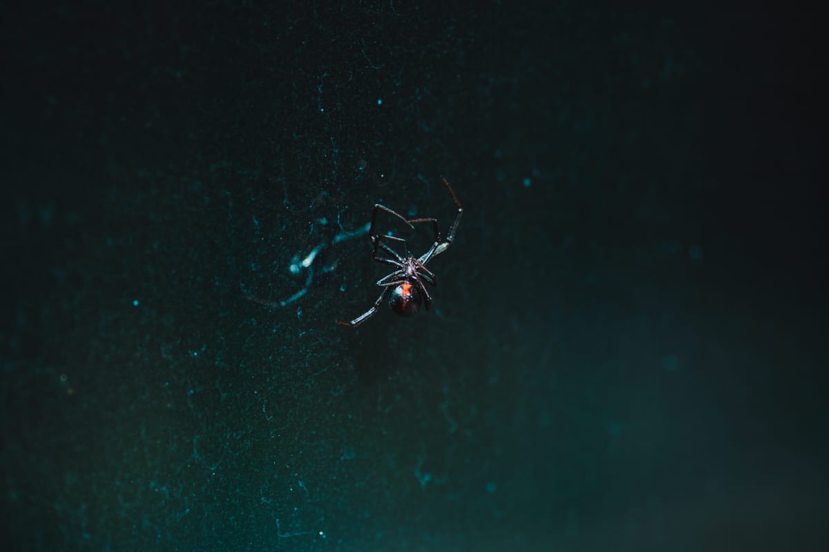 Recension: Black Widow (2021)
